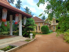 Landscape 2